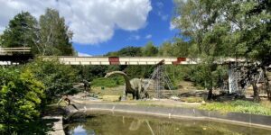 Realizacja kładki w ZOO -system wspornikowy BudoTECH, szalunki ścienne | budosprzet.pl